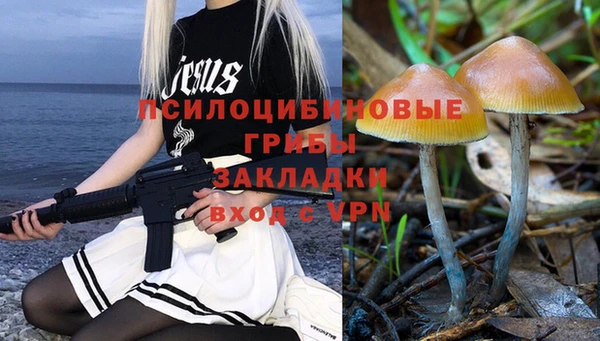 индика Алзамай