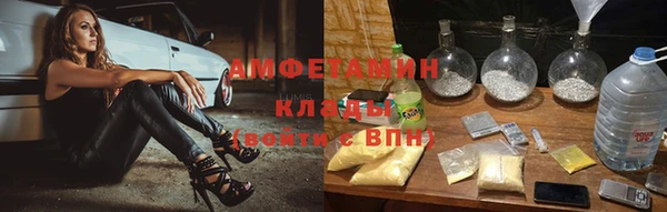 индика Алзамай