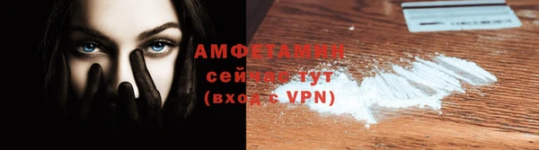 индика Алзамай