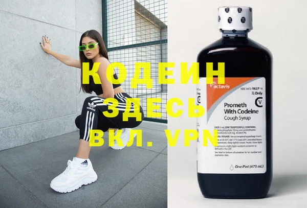 хмурый Алексин