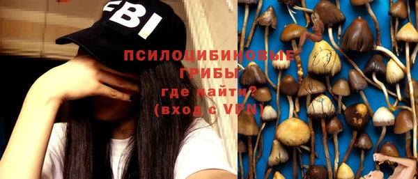 индика Алзамай