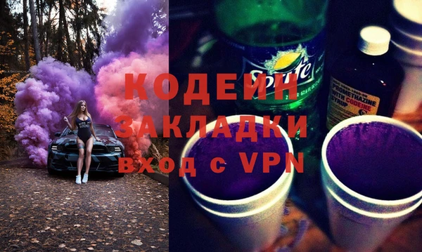 индика Алзамай