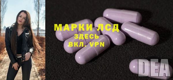 хмурый Алексин