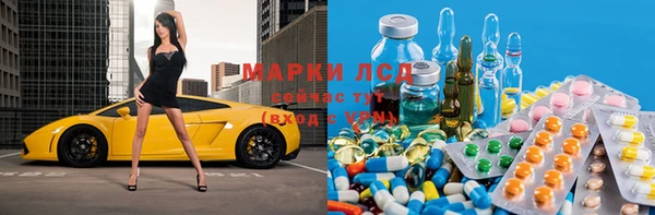 хмурый Алексин