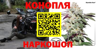 каннабис Ачхой-Мартан