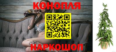 крисы Аша