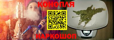 крисы Аша