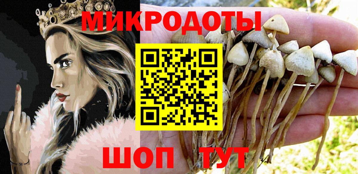 Белебей  Галлюциногенные грибы Cubensis  купить наркотик  Вход с VPN 